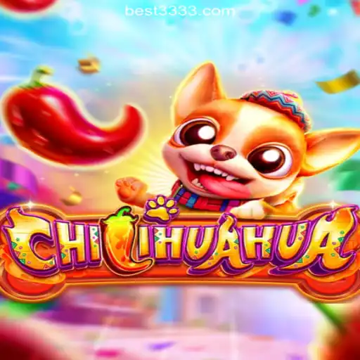 Discover the Thrilling World of CHILIHUAHUA on Bet3333.com
